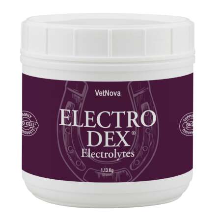 ELECTRO DEX 1,13 Kg